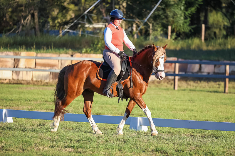 JPC Feb 2026 Dressage-7811.jpg