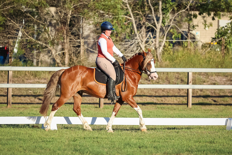 JPC Feb 2026 Dressage-7816.jpg
