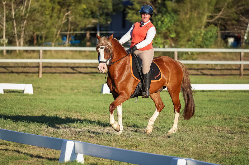 JPC Feb 2026 Dressage-7818.jpg