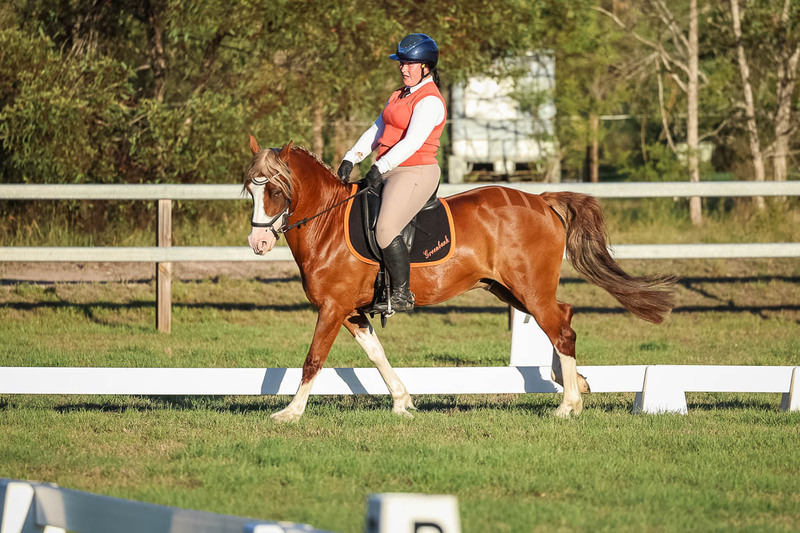 JPC Feb 2026 Dressage-7819.jpg