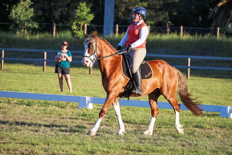 JPC Feb 2026 Dressage-7821.jpg