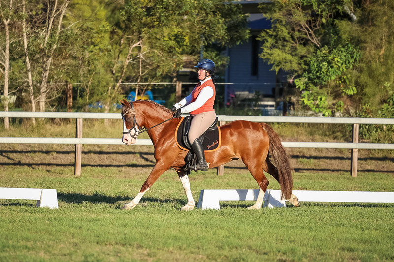 JPC Feb 2026 Dressage-7823.jpg