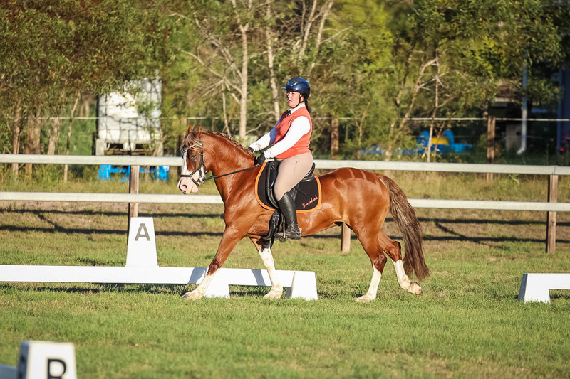 JPC Feb 2026 Dressage-7824.jpg