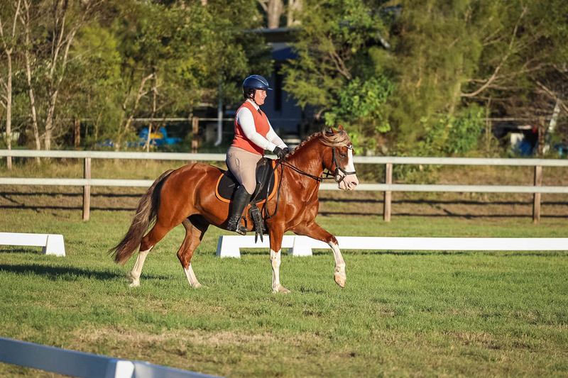 JPC Feb 2026 Dressage-7826.jpg