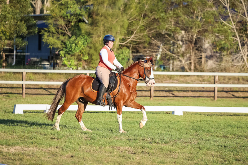 JPC Feb 2026 Dressage-7827.jpg