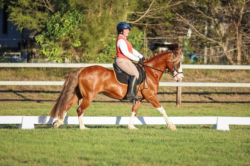 JPC Feb 2026 Dressage-7828.jpg
