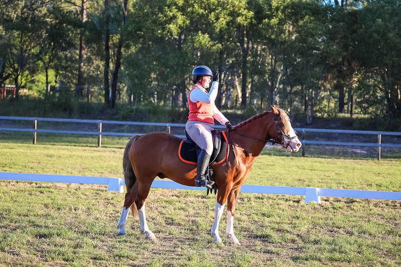 JPC Feb 2026 Dressage-7831.jpg