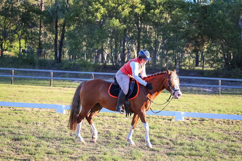 JPC Feb 2026 Dressage-7832.jpg
