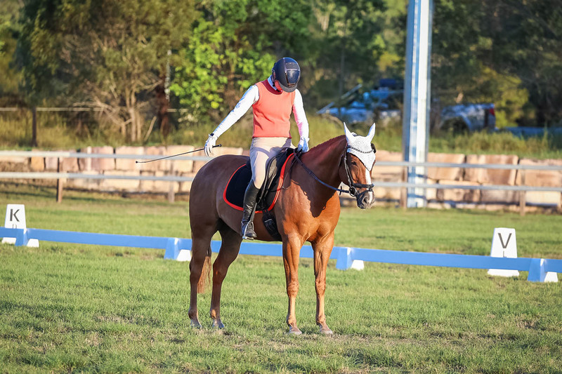 JPC Feb 2026 Dressage-7835.jpg