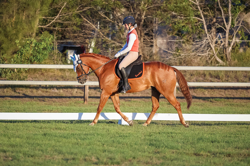 JPC Feb 2026 Dressage-7836.jpg