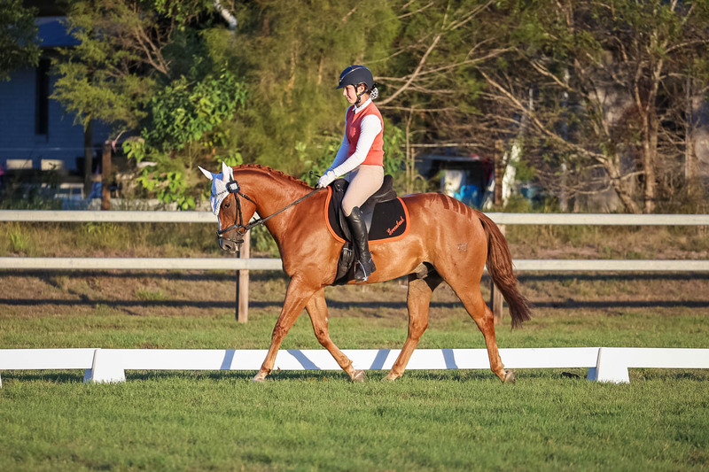 JPC Feb 2026 Dressage-7837.jpg