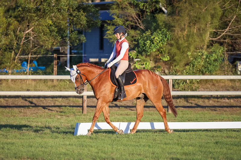 JPC Feb 2026 Dressage-7838.jpg