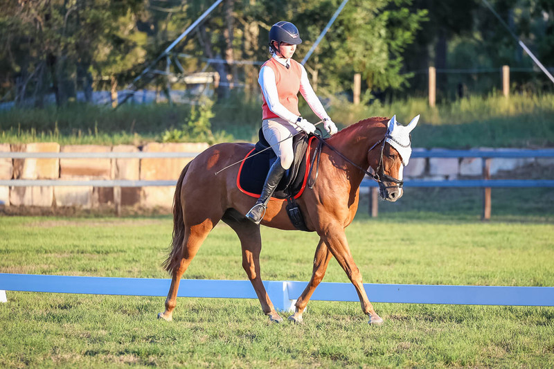 JPC Feb 2026 Dressage-7840.jpg