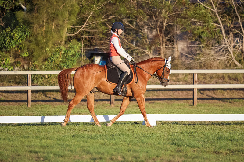 JPC Feb 2026 Dressage-7841.jpg