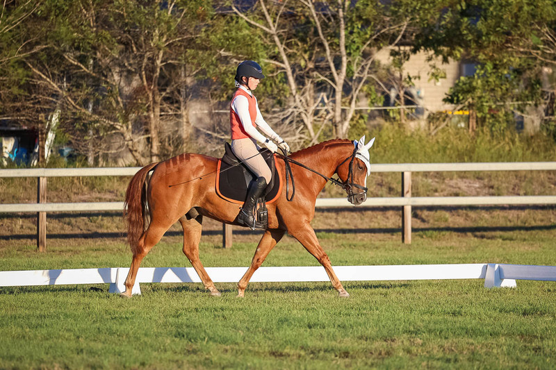 JPC Feb 2026 Dressage-7842.jpg