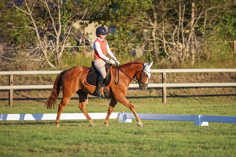 JPC Feb 2026 Dressage-7843.jpg
