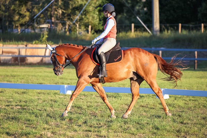 JPC Feb 2026 Dressage-7844.jpg