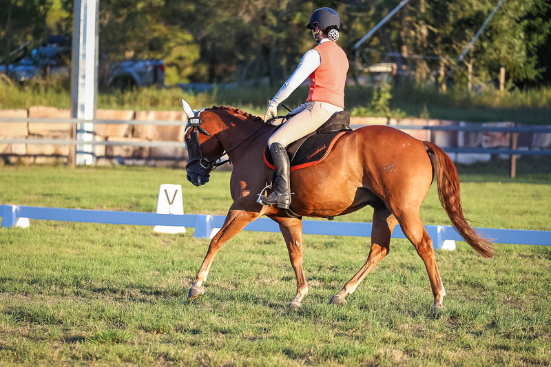 JPC Feb 2026 Dressage-7845.jpg