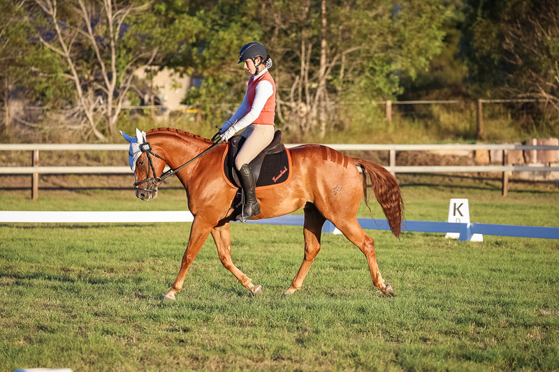 JPC Feb 2026 Dressage-7846.jpg