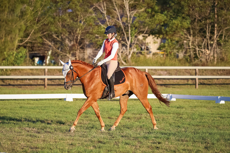 JPC Feb 2026 Dressage-7847.jpg