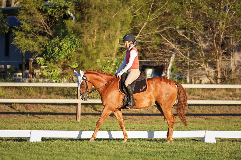 JPC Feb 2026 Dressage-7848.jpg