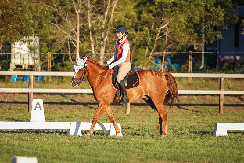 JPC Feb 2026 Dressage-7849.jpg