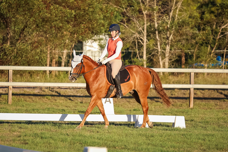 JPC Feb 2026 Dressage-7850.jpg
