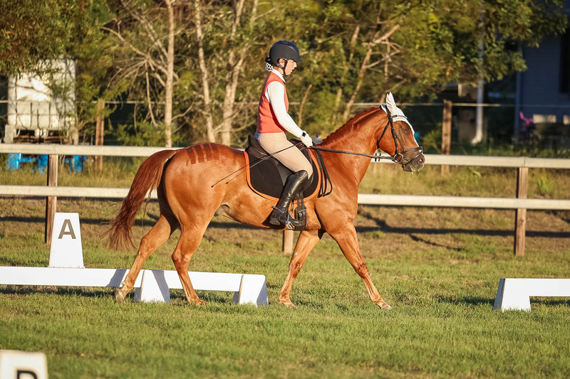 JPC Feb 2026 Dressage-7855.jpg