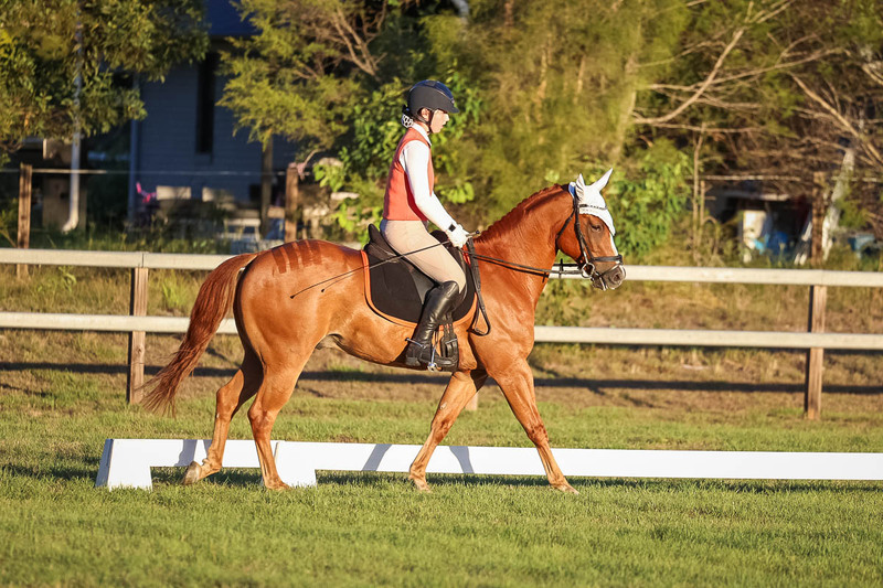 JPC Feb 2026 Dressage-7856.jpg