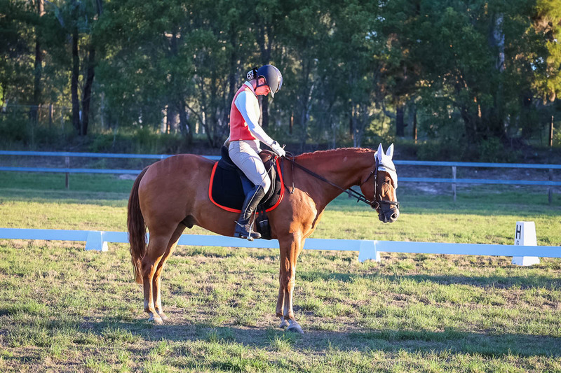 JPC Feb 2026 Dressage-7857.jpg