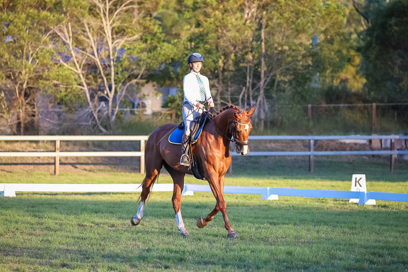 JPC Feb 2026 Dressage-7858.jpg