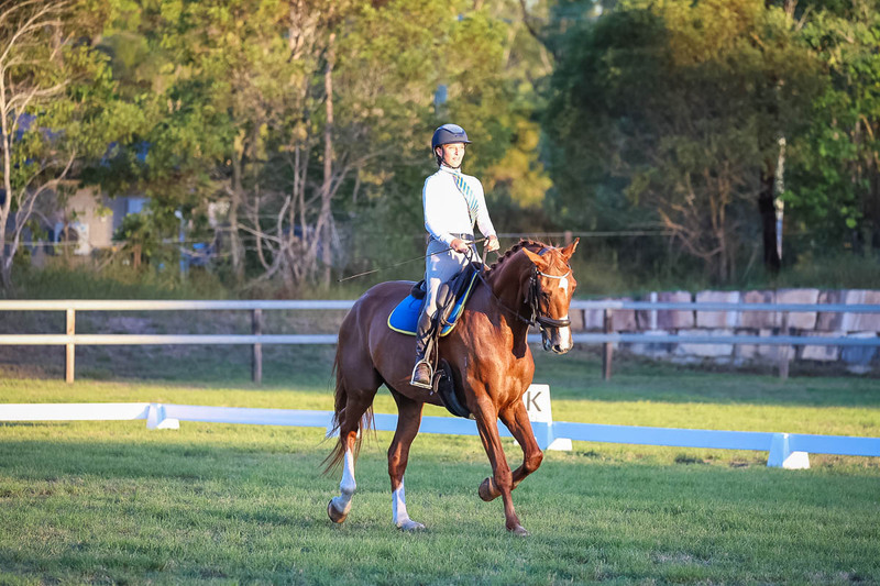 JPC Feb 2026 Dressage-7859.jpg