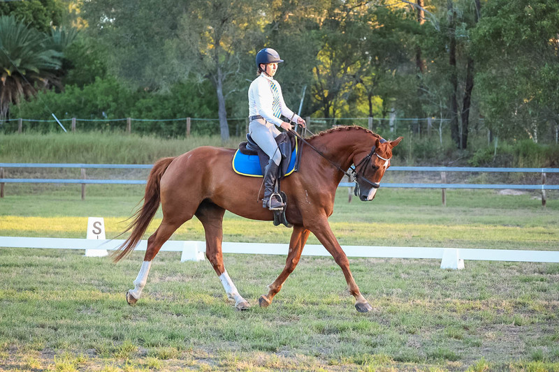 JPC Feb 2026 Dressage-7860.jpg