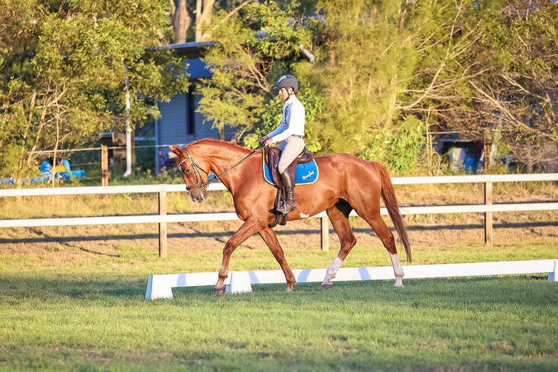 JPC Feb 2026 Dressage-7861.jpg