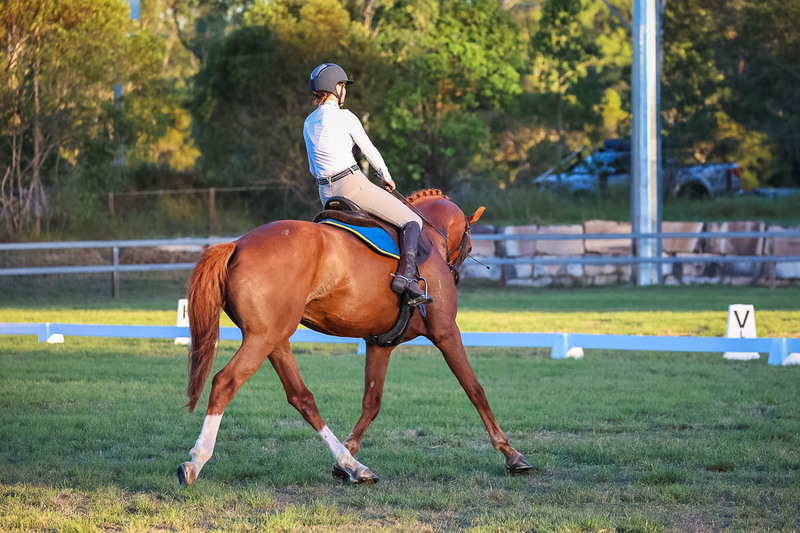 JPC Feb 2026 Dressage-7863.jpg