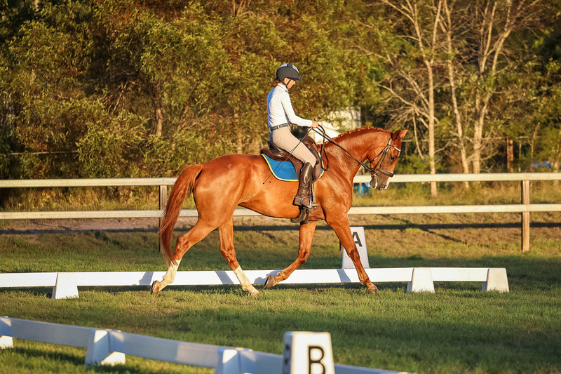 JPC Feb 2026 Dressage-7864.jpg
