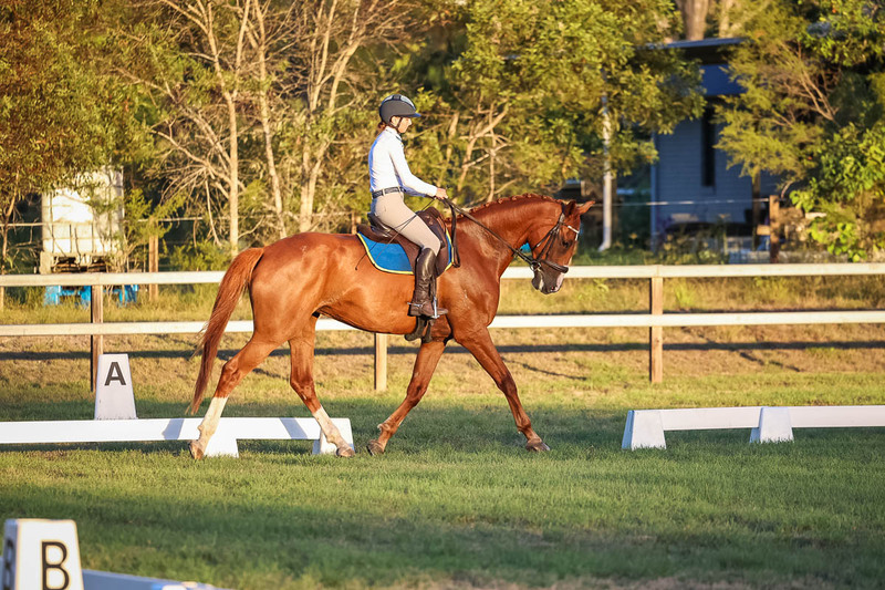 JPC Feb 2026 Dressage-7865.jpg