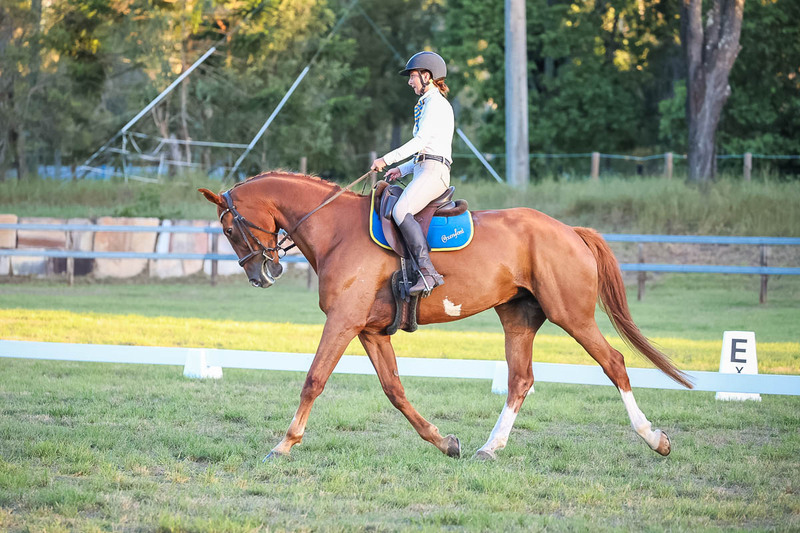 JPC Feb 2026 Dressage-7867.jpg