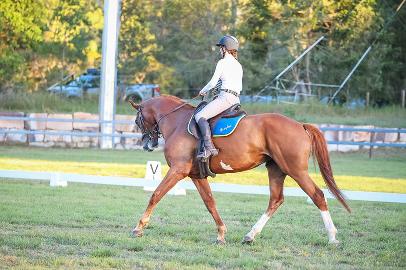 JPC Feb 2026 Dressage-7868.jpg
