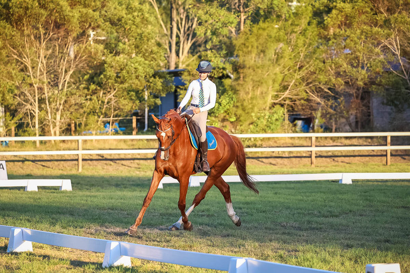 JPC Feb 2026 Dressage-7869.jpg