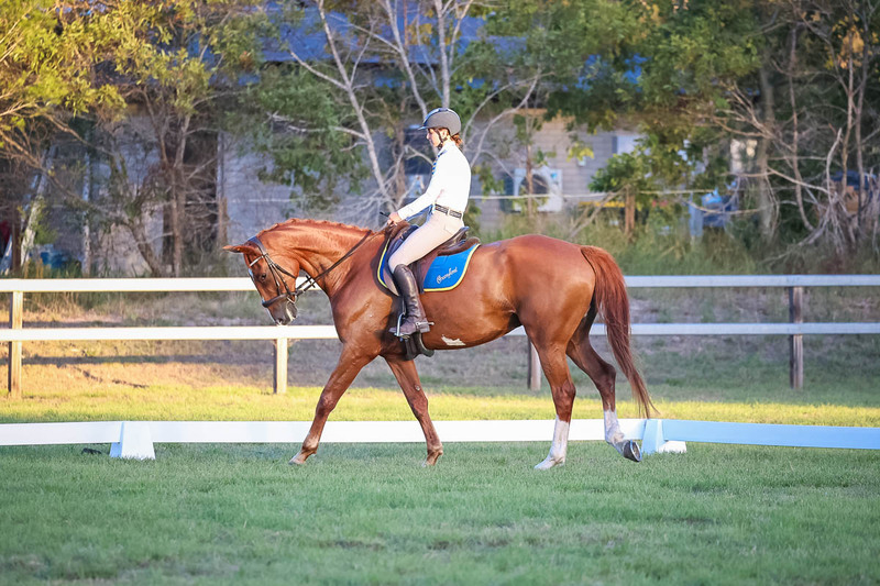 JPC Feb 2026 Dressage-7870.jpg