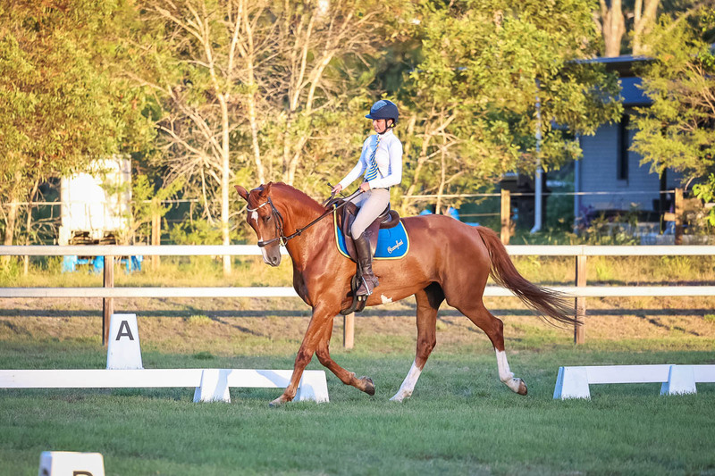 JPC Feb 2026 Dressage-7871.jpg