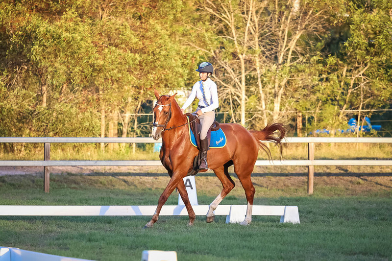 JPC Feb 2026 Dressage-7872.jpg