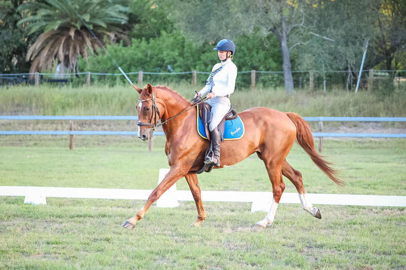JPC Feb 2026 Dressage-7874.jpg