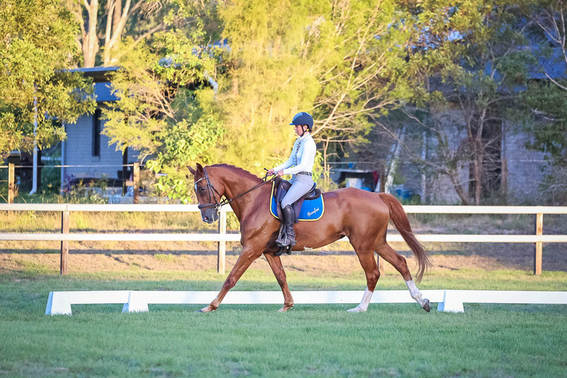 JPC Feb 2026 Dressage-7875.jpg