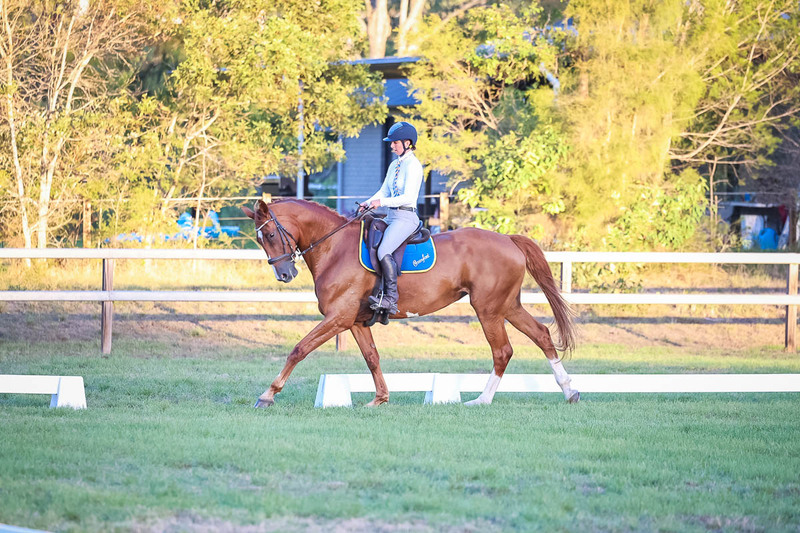 JPC Feb 2026 Dressage-7876.jpg