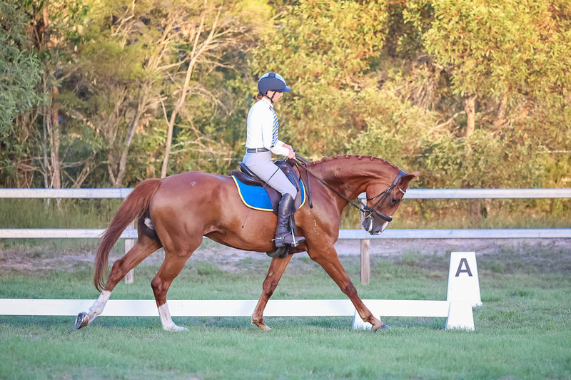 JPC Feb 2026 Dressage-7877.jpg