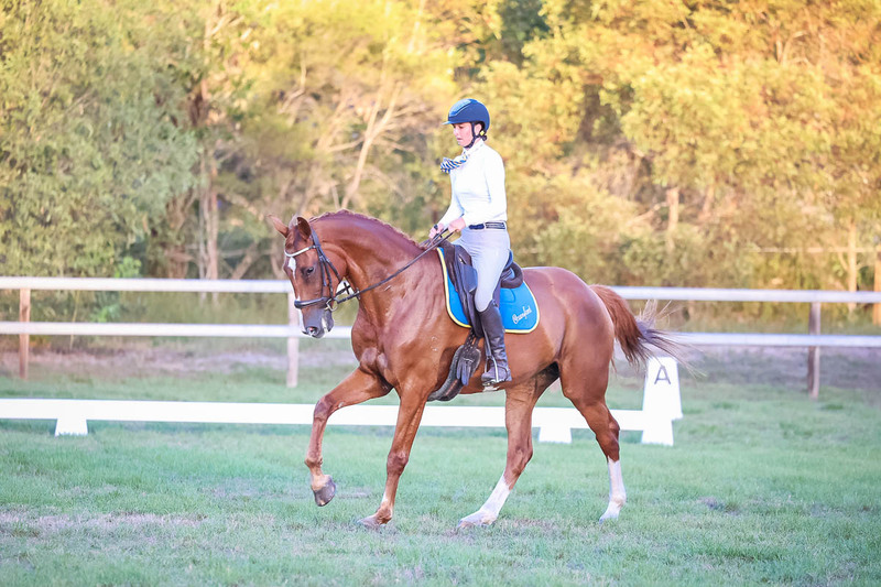 JPC Feb 2026 Dressage-7880.jpg