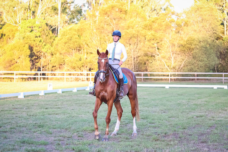 JPC Feb 2026 Dressage-7881.jpg