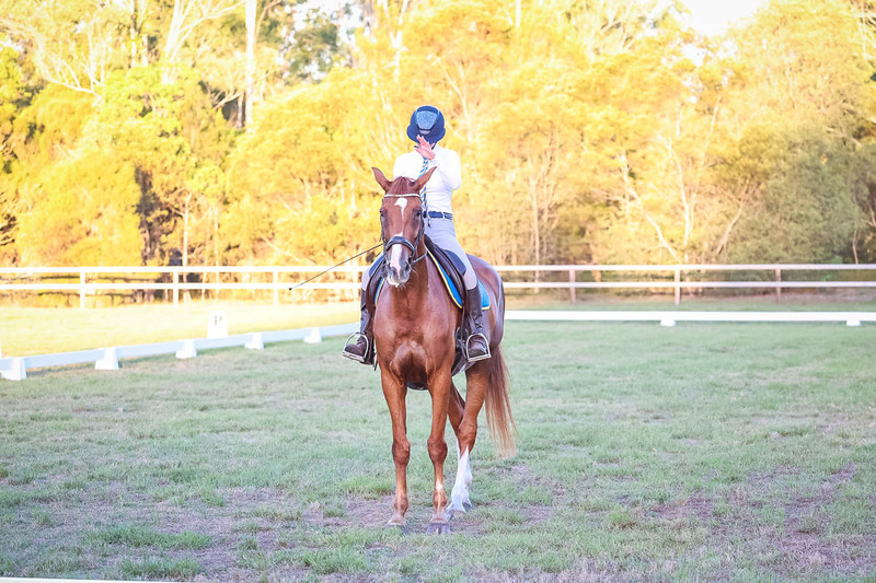 JPC Feb 2026 Dressage-7882.jpg